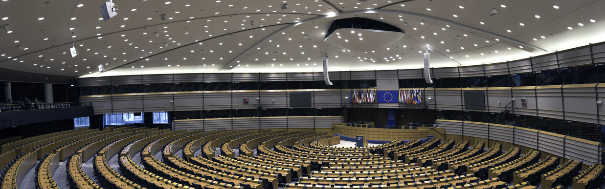 Positionspapier zur Zukunft der EU